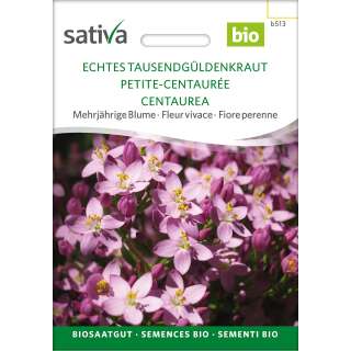 Tausendgüldenkraut, echtes - Centaurium erythrea  -...