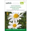 Margerite, Wiesenmargerite - Chrysanthemum leucanthemum  - BIOSAMEN