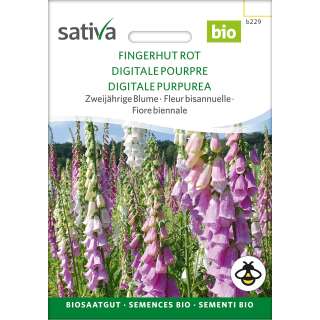 Fingerhut rot - Digitalis purpurea - BIOSAMEN