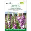 Fingerhut rot - Digitalis purpurea - BIOSAMEN