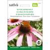 Sonnenhut - Echinacea purpurea  - BIOSAMEN