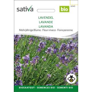 Lavendel - Lavandula angustifolia  - BIOSAMEN