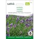 Lavendel - Lavandula angustifolia  - BIOSAMEN