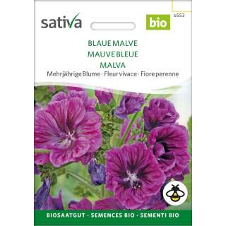 Malve, blaue - Malva sylvestris mauretanica  - BIOSAMEN