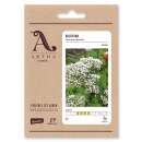 Baldrian - Valeriana officinalis - Demeter biologische Samen