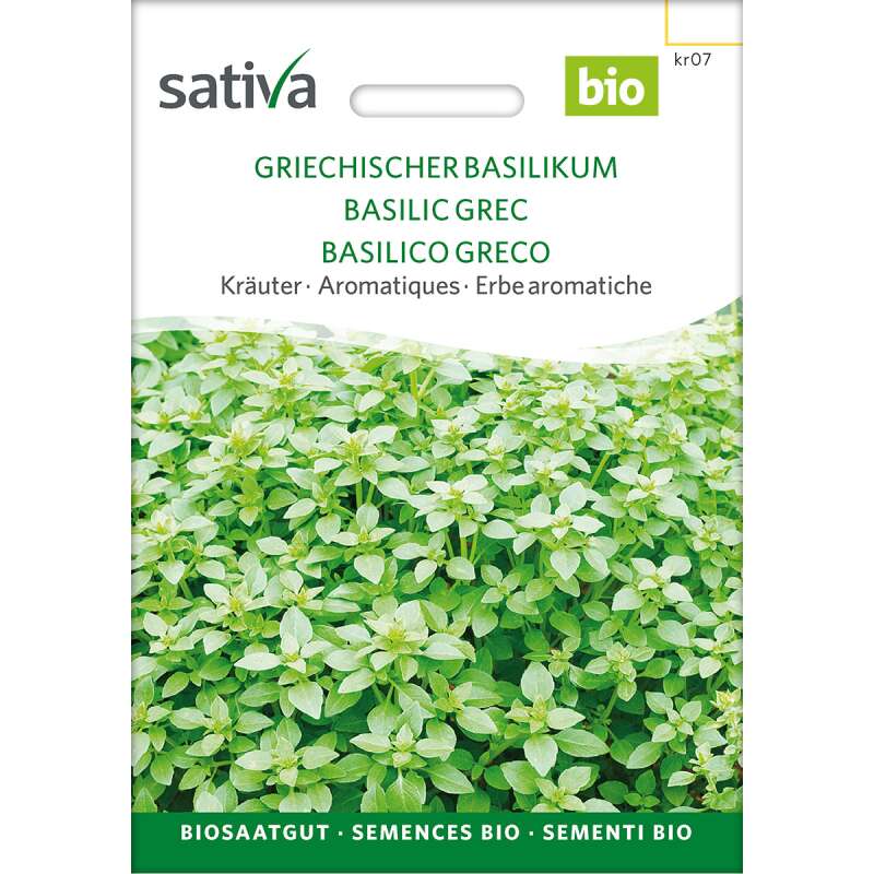 Basilikum, griechischer - Ocimum basilicum  - BIOSAMEN