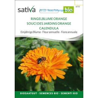Ringelblume, einfach, orange - Calendula officinalis -...