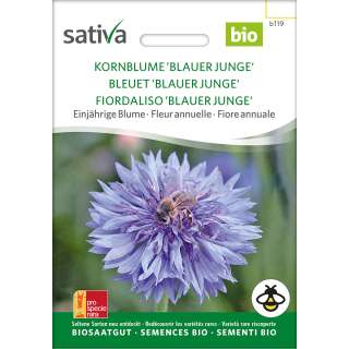 Kornblume Blauer Junge - Centaurea cyanus - BIOSAMEN
