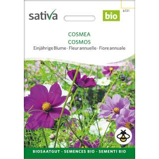 Cosmea, Schmuckkörbchen, Pastellfarben gemischt -...