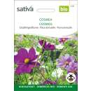 Cosmea, Schmuckkörbchen, Pastellfarben gemischt - Cosmos bipinnatus  - BIOSAMEN