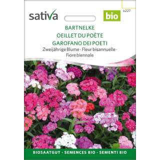 Bartnelke (gemischt) - Dianthus barbatus - BIOSAMEN