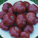 Tomate Purple Calabash - Lycopersicon esculentum - Tomatensamen
