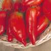 Tomate Jersey Devil - Lycopersicon esculentum - Tomatensamen