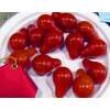 Tomate Red Pear - Rote Birne - Lycopersicon esculentum - Tomatensamen