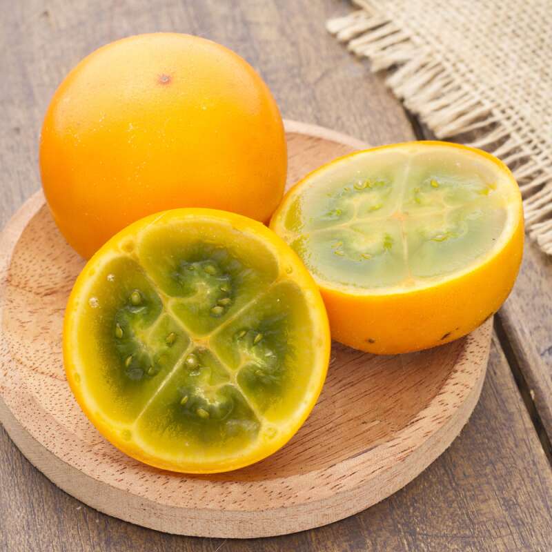LULO, Naranjilla - exotische Frucht - Solanum quitoense - Samen