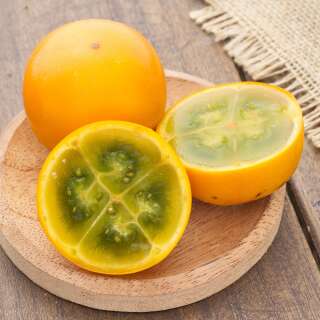 LULO, Naranjilla - exotische Frucht - Solanum quitoense -...
