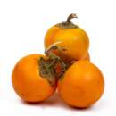 LULO, Naranjilla - exotische Frucht - Solanum quitoense -...
