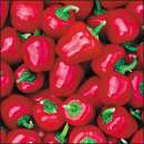 Gemüsepaprika, mini Miniature Red Bell - Capsicum...