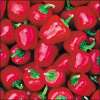 Gemüsepaprika, mini Miniature Red Bell - Capsicum annuum - Samen