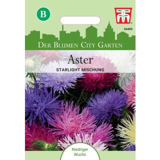 Aster Starlight Mischung - Callistephus chinensis - Samen