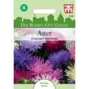 Aster Starlight Mischung - Callistephus chinensis - Samen