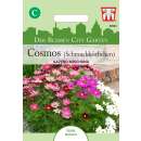 Cosmea, Schmuckkörbchen Gazebo Mischung - Cosmos...