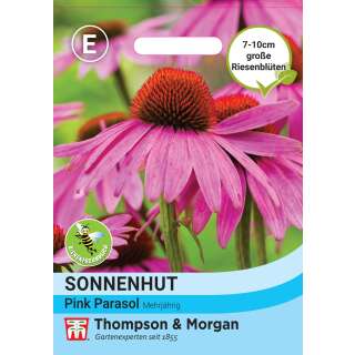 Sonnenhut Pink Parasol - Echinacea purpurea- Samen