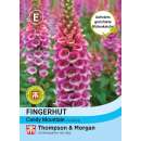 Fingerhut Candy Mountain - Digitalis - Samen