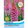 Fingerhut Candy Mountain - Digitalis - Samen