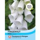 Fingerhut Alba - Digitalis purpurea - Samen