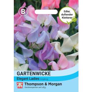 Wicke, Duftwicke Elegant Ladies - Lathyrus odoratus - Samen