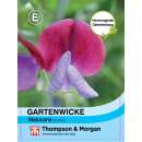 Wicke, Duftwicke Matucana - Lathyrus odoratus - Samen