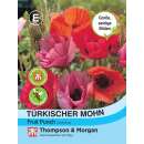 Mohn Fruit Punch - Papaver orientale - Samen