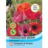 Mohn Fruit Punch - Papaver orientale - Samen