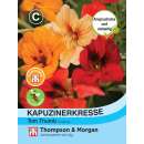 Kapuzinerkresse Tom Thumb Mischung - Tropaeolum majus -...