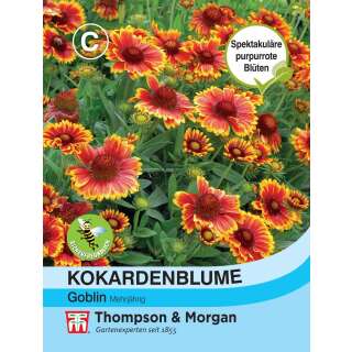 Kokardenblume Goblin - Gaillardia - Samen