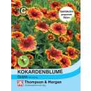 Kokardenblume Goblin - Gaillardia - Samen