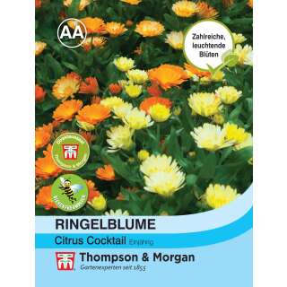 Ringelblume Citrus Cocktail Mischung - Calendula officinalis nana - Samen