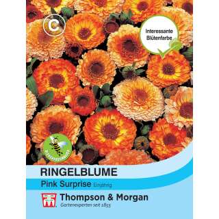 Ringelblume Pink Surprise - Calendula officinalis - Samen