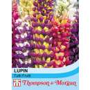 Lupine Tutti Frutti - Lupinus hybridus - Samen