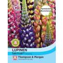 Lupine Tutti Frutti - Lupinus hybridus - Samen