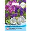 Glockenblume Marienglockenblume Canterbury Bells Mix - Campanula medium - Samen