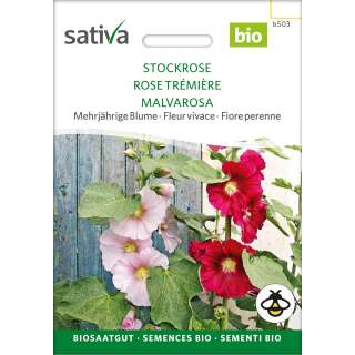 Malve, Stockrose - Alcea rosea - BIOSAMEN