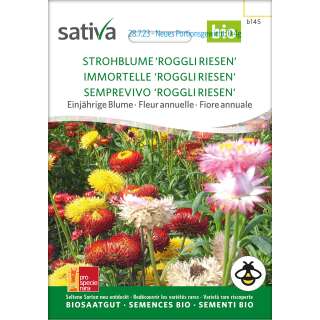 Strohblume Roggli Riesen - Helichrysum bracteatum - BIOSAMEN