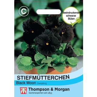 Stiefmütterchen Black Moon - Viola x wittrockiana - Samen