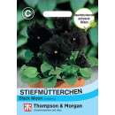 Stiefmütterchen Black Moon - Viola x wittrockiana - Samen