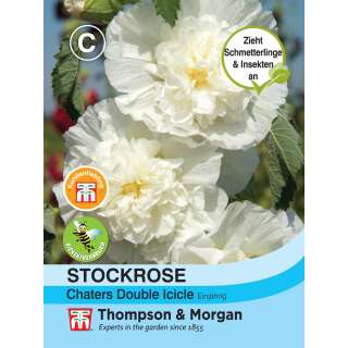 Malve, Stockrose Chaters Double Icicle - Alcea rosea - Samen