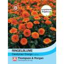 Ringelblume Candyman Orange - Calendula officinalis - Samen