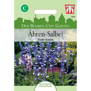 Salbei Fairy Queen - Salvia farinacea - Samen