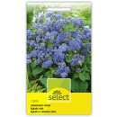 Leberbalsam - Ageratum houstonianum - Samen